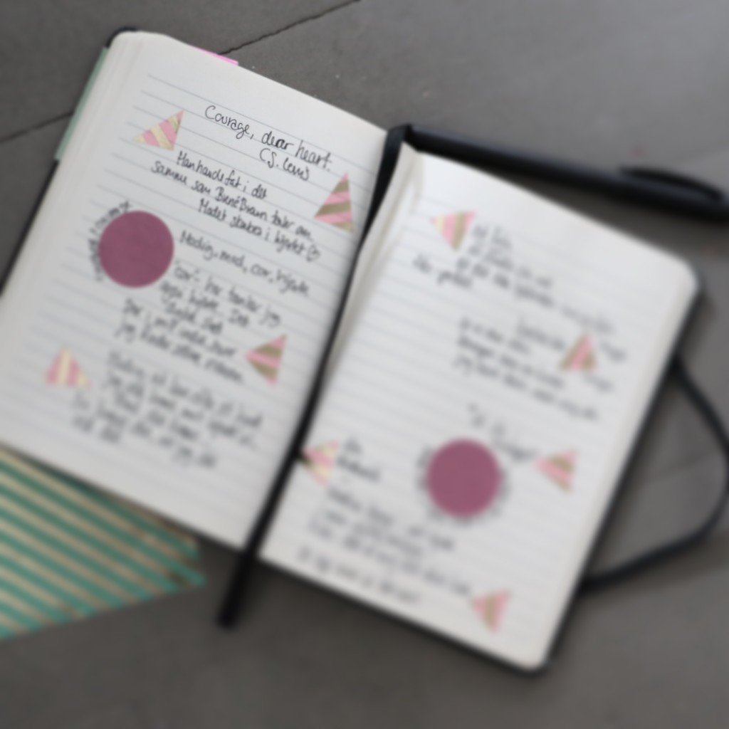 notebook_journaling_scribble_notesbog